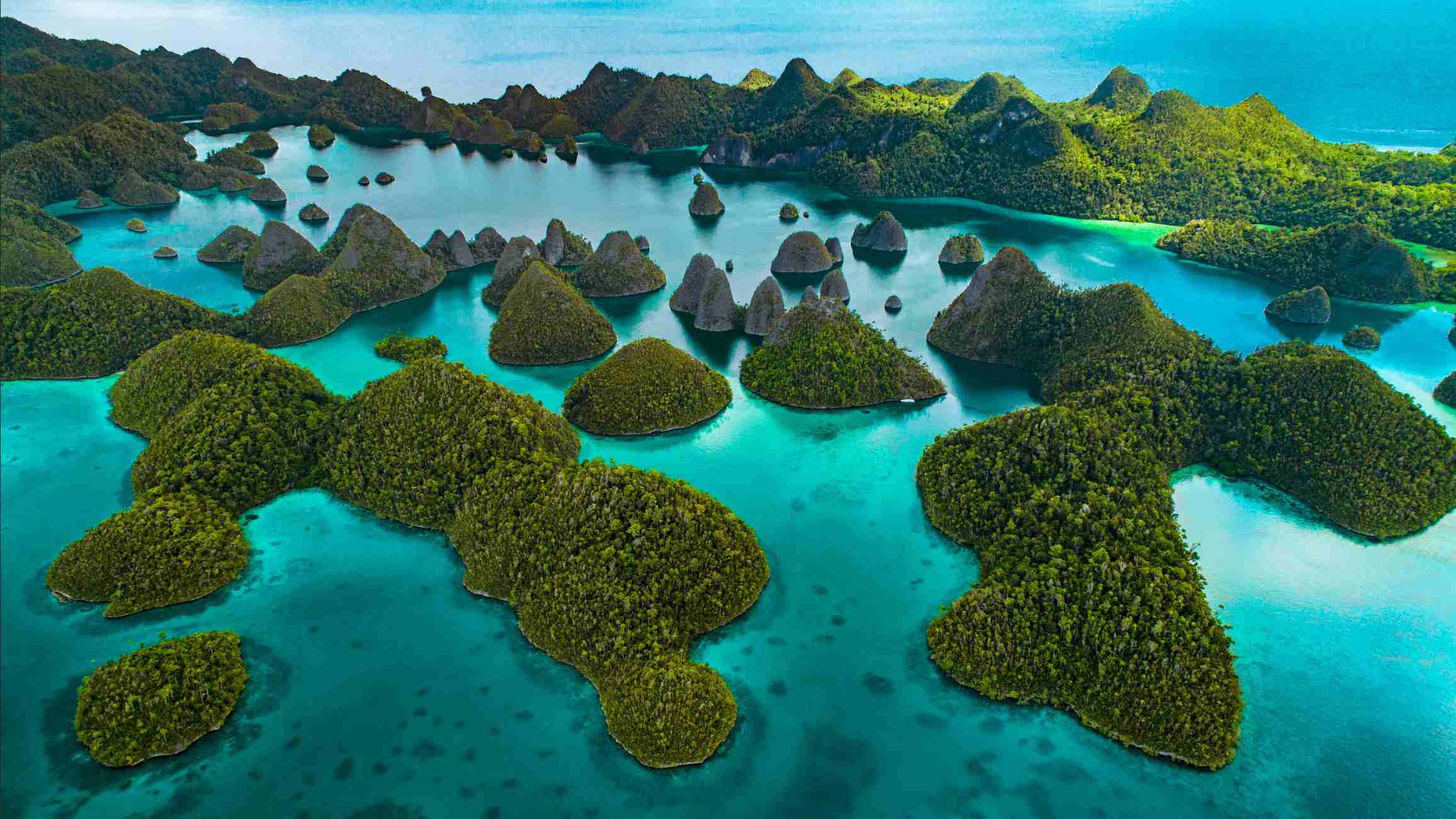Raja Ampat Yachts Fleet Directory 2026