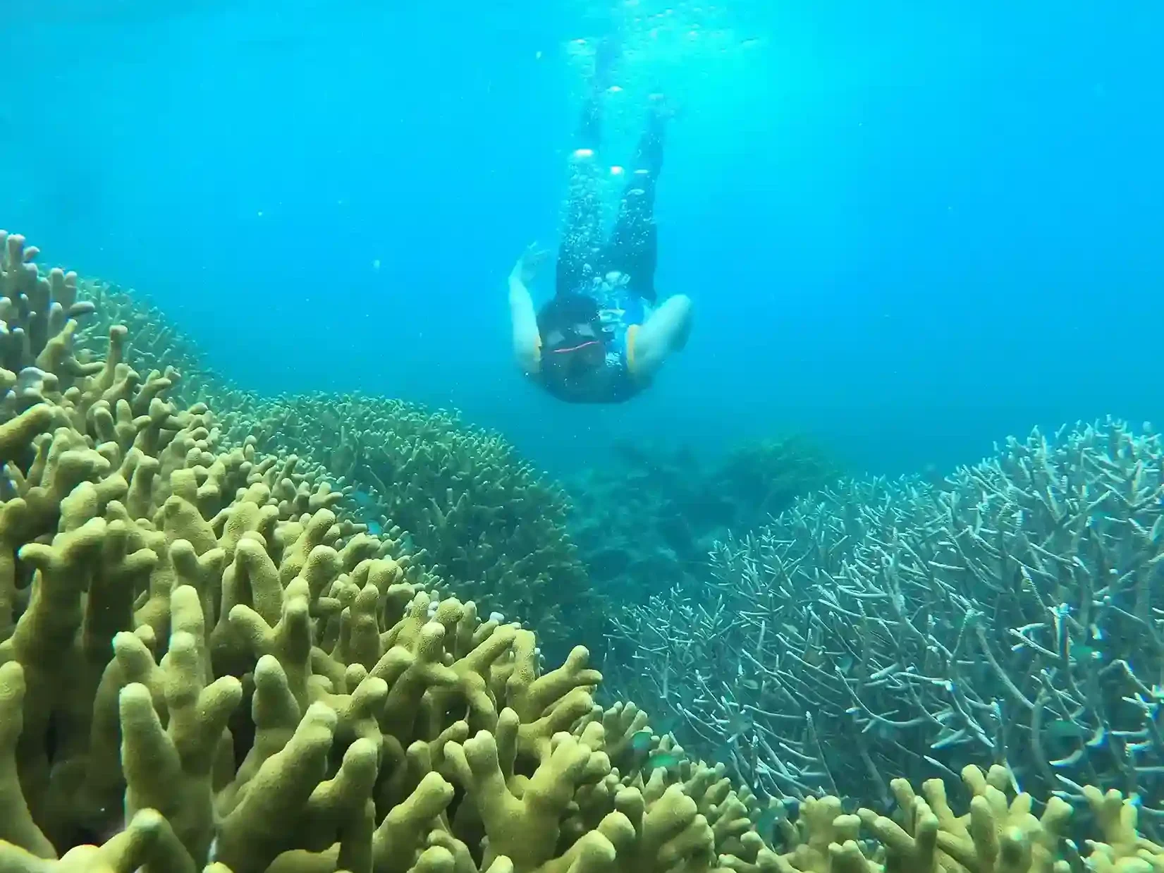 Sauwandarek Island