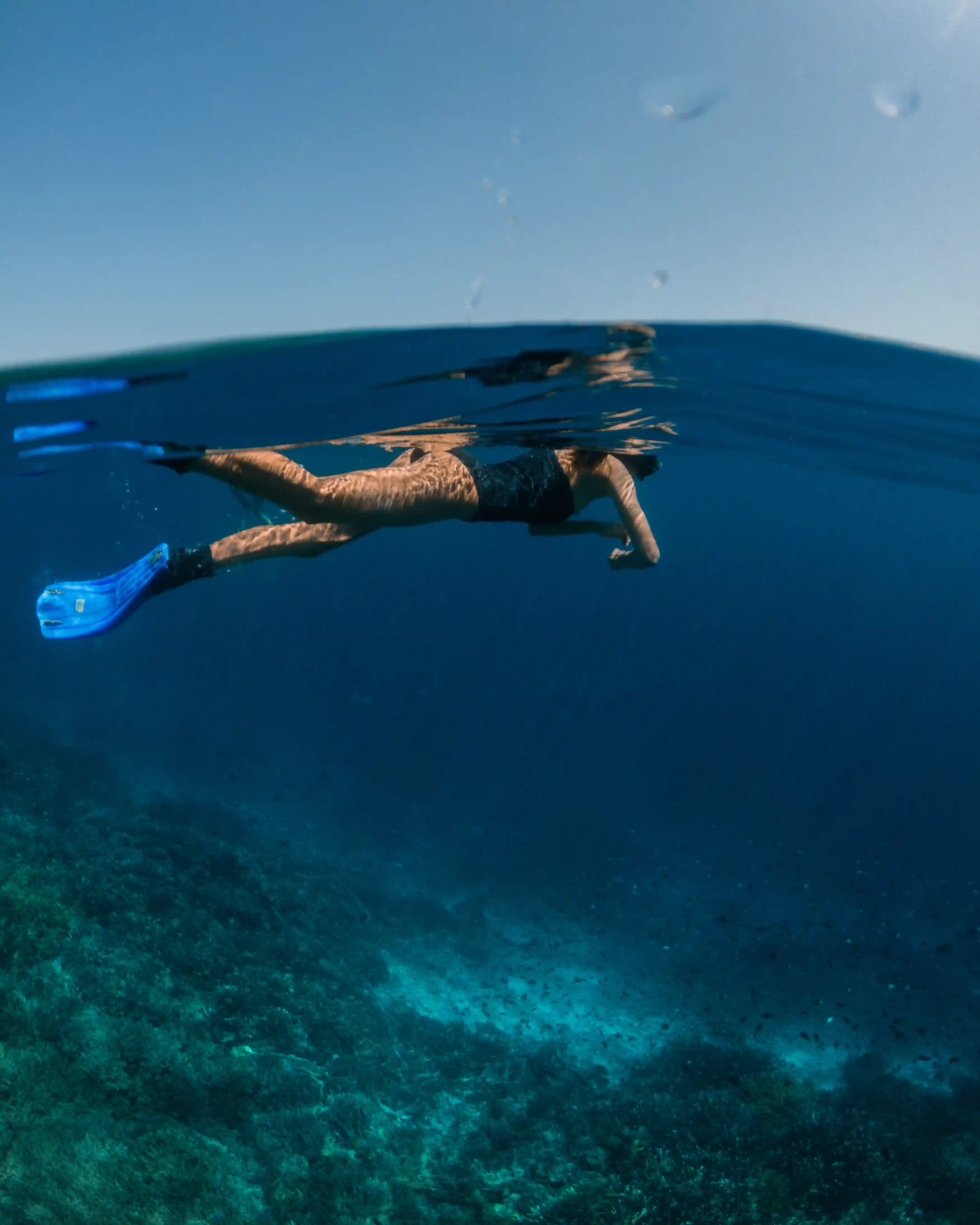 Snorkeling From a Yacht