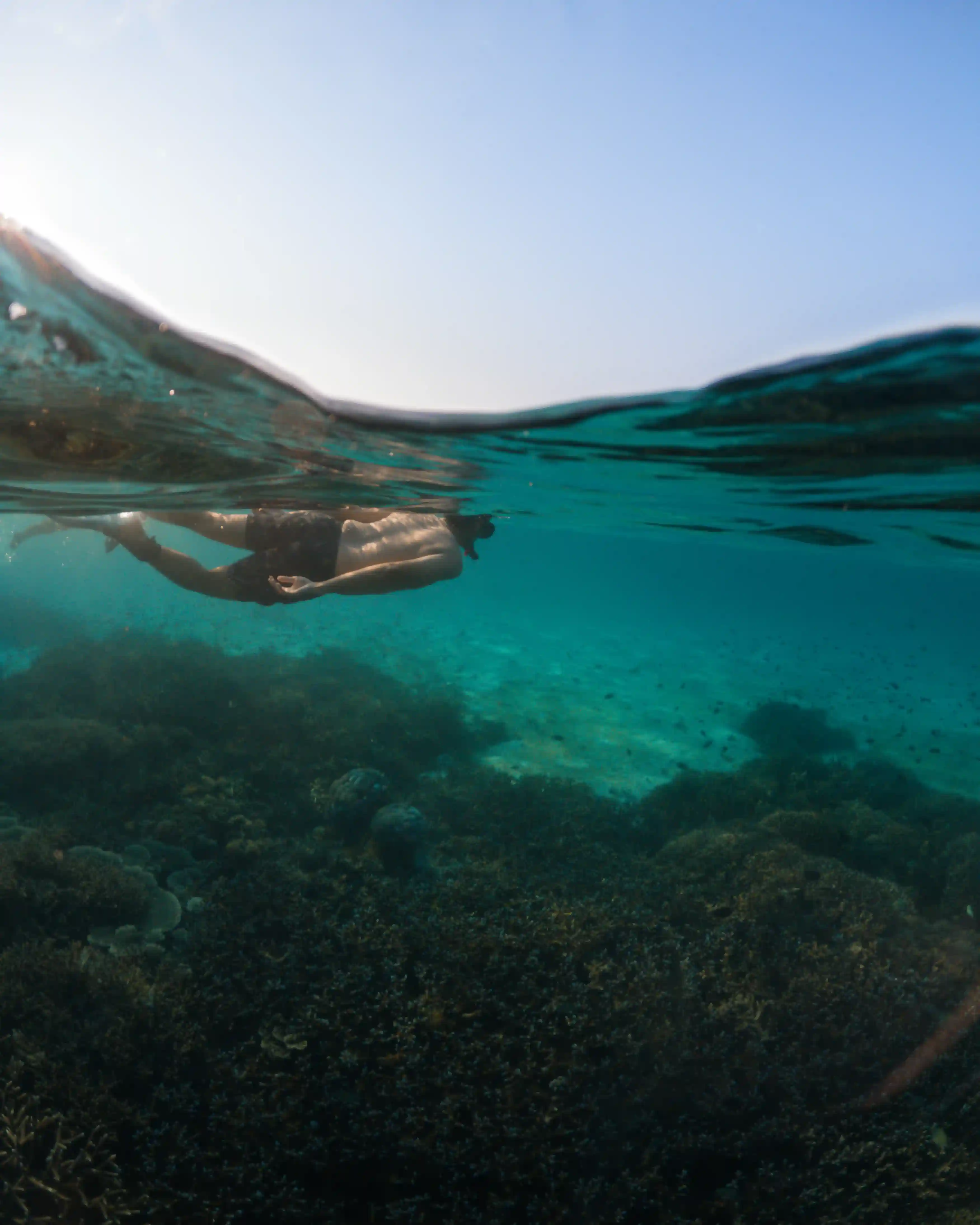 Shallow Coral Sites for Families